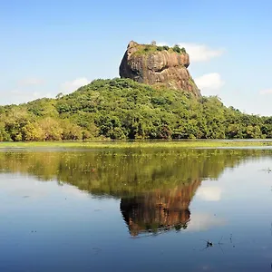 Sunshine & *** Sigiriya