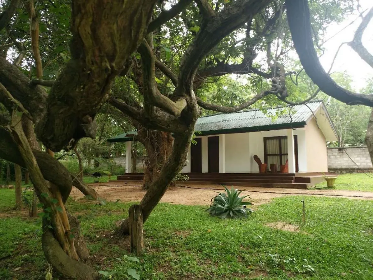 Eighth Wonder Resort Sigiriya Hotel