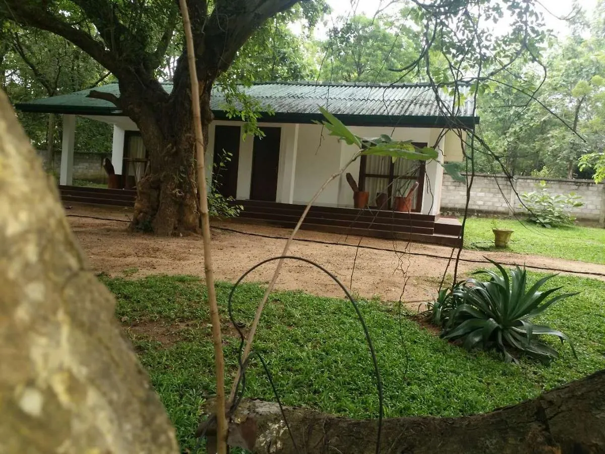 Hotel Eighth Wonder Resort Sigiriya